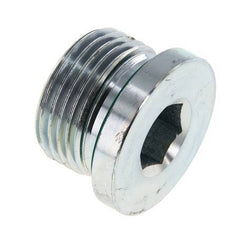 Plug M27 X 2 Staal FKM met binnenzeskant 400 bar (5620.0psi)