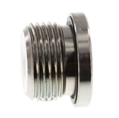 Plug M27 X 2 Staal NBR met binnenzeskant 400 bar (5620.0psi)