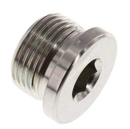 Plug M27 X 2 Staal NBR met binnenzeskant 400 bar (5620.0psi)