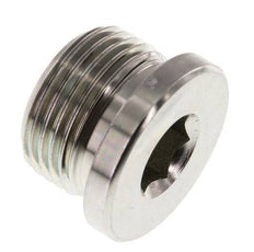 Plug M27 X 2 Staal NBR met binnenzeskant 400 bar (5620.0psi)