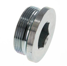 Plug M48 X 2 Staal FKM met binnenzeskant 250 bar (3512.5psi)