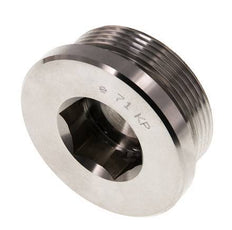 Plug M48 X 2 RVS FKM met binnenzeskant 250 bar (3512.5psi)