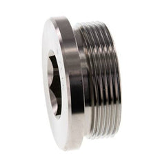 Plug M48 X 2 RVS FKM met binnenzeskant 250 bar (3512.5psi)