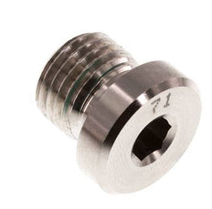 Plug M14 X 1.5 RVS FKM met binnenzeskant 400 bar (5620.0psi)