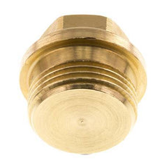 Plug G1'' Messing met kraag en buitenzeskant 16 bar (224.8psi)