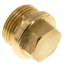 Plug G1'' Messing met kraag en buitenzeskant 16 bar (224.8psi)
