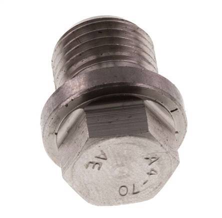Plug G1/4'' RVS met kraag en buitenzeskant 40bar (562.0psi)
