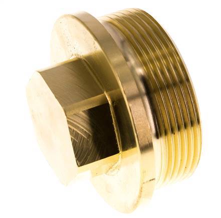 Plug G2'' Messing met kraag en buitenzeskant 16 bar (224.8psi)