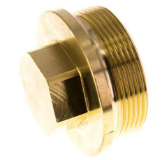 Plug G2'' Messing met kraag en buitenzeskant 16 bar (224.8psi)