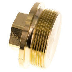 Plug G2'' Messing met kraag en buitenzeskant 16 bar (224.8psi)