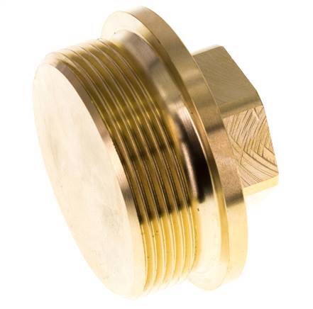 Plug G2'' Messing met kraag en buitenzeskant 16 bar (224.8psi)