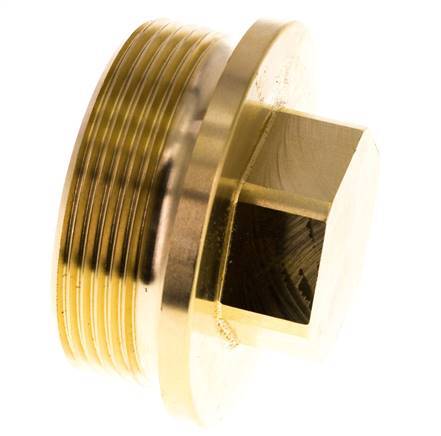 Plug G2'' Messing met kraag en buitenzeskant 16 bar (224.8psi)