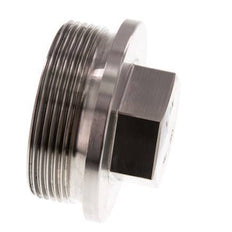 Plug G2'' RVS met kraag en buitenzeskant 40bar (562.0psi)