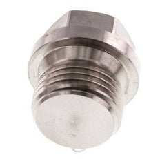 Plug G1/2'' RVS met kraag en buitenzeskant 40bar (562.0psi)
