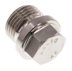 Plug G1/2'' RVS met kraag en buitenzeskant 40bar (562.0psi)