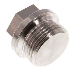 Plug G1'' RVS met kraag en buitenzeskant 40bar (562.0psi)