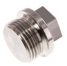 Plug G1'' RVS met kraag en buitenzeskant 40bar (562.0psi)