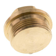 Plug G1 1/4'' messing met kraag en buitenzeskant 16 bar (224.8psi)