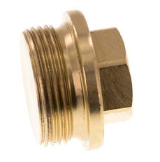 Plug G1 1/4'' messing met kraag en buitenzeskant 16 bar (224.8psi)