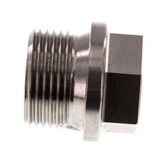 Plug G3/4'' RVS met kraag en buitenzeskant 40bar (562.0psi)