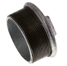Plug R3" smeedbaar gietijzer met buitenvierkant 25bar (351.25psi)
