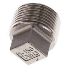 Plug R1'' RVS met Extern Vierkant 16bar (224.8psi)