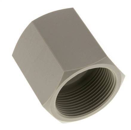 Sok G1 1/2'' Binnendraad Polypropyleen (PP) 10bar FDA 55mm Hex