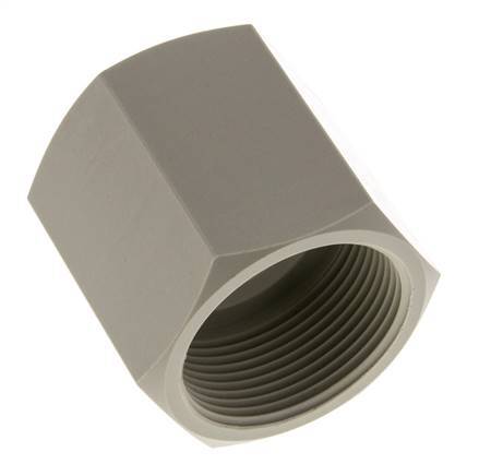 Sok G1 1/2'' Binnendraad Polypropyleen (PP) 10bar FDA 55mm Hex