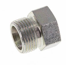 12S Zinc plated Steel Closing Plug for Tubes 630 Bar DIN 2353