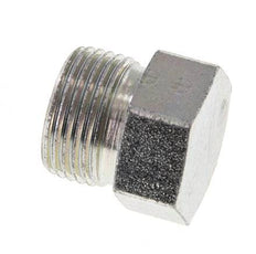 12S Zinc plated Steel Closing Plug for Tubes 630 Bar DIN 2353