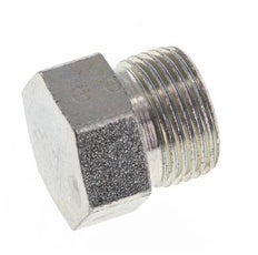 12S Zinc plated Steel Closing Plug for Tubes 630 Bar DIN 2353