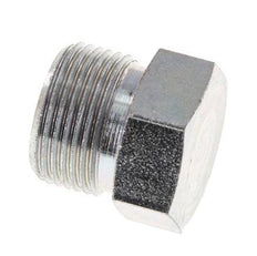 14S Zinc plated Steel Closing Plug for Tubes 630 Bar DIN 2353