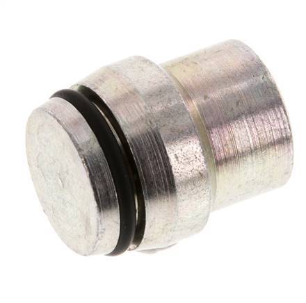 20S Verzinkt Stalen Plug voor Snijring Koppeling 400 Bar DIN 2353 [2 Stuks]