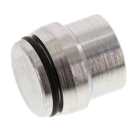25S Verzinkt Stalen Plug voor Snijring Koppeling 400 Bar DIN 2353 [2 Stuks]