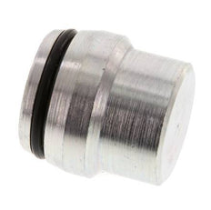 25S Verzinkt Stalen Plug voor Snijring Koppeling 400 Bar DIN 2353 [2 Stuks]