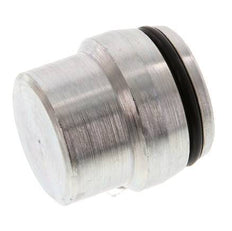 25S Verzinkt Stalen Plug voor Snijring Koppeling 400 Bar DIN 2353 [2 Stuks]