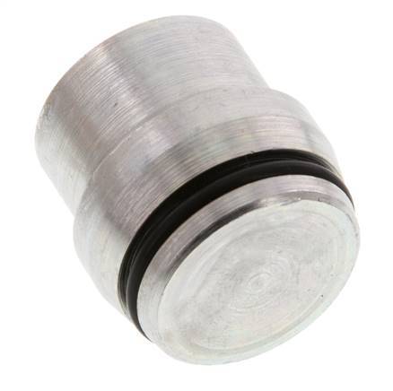 25S Verzinkt Stalen Plug voor Snijring Koppeling 400 Bar DIN 2353 [2 Stuks]