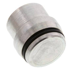 25S Verzinkt Stalen Plug voor Snijring Koppeling 400 Bar DIN 2353 [2 Stuks]