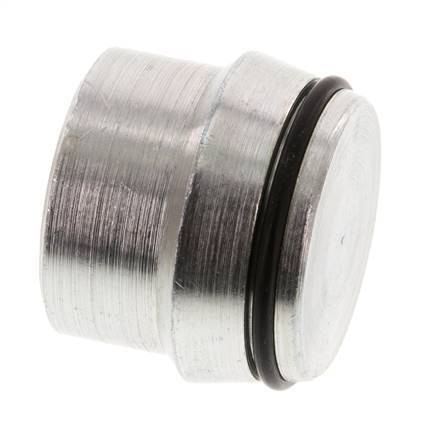 28L Verzinkt Stalen Plug voor Snijring Koppeling 160 Bar DIN 2353 [2 Stuks]