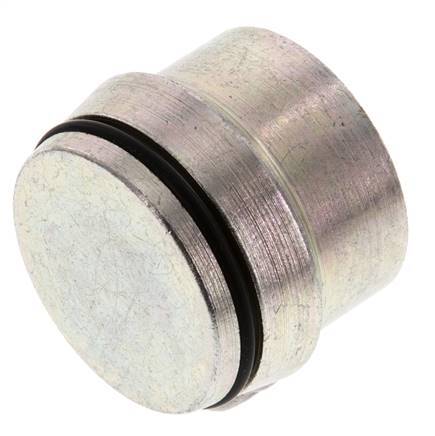 38S Verzinkt Stalen Plug voor Snijring Koppeling 315 Bar DIN 2353