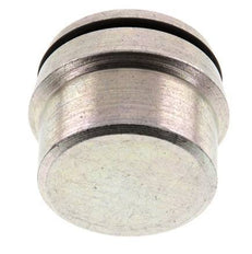 38S Verzinkt Stalen Plug voor Snijring Koppeling 315 Bar DIN 2353