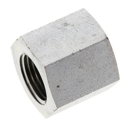 1/2'' NPT Verzinkt Stalen Plug met Buitenzeskant 210 Bar