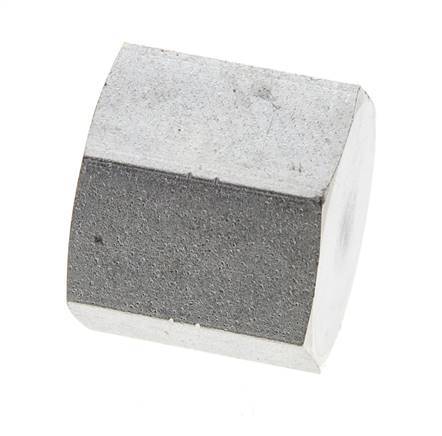 1/2'' NPT Verzinkt Stalen Plug met Buitenzeskant 210 Bar