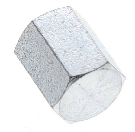 1/4'' NPT Verzinkt Stalen Plug met Buitenzeskant 275 Bar