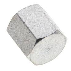 1/8'' NPT Verzinkt Stalen Plug met Buitenzeskant 345 Bar [2 Stuks]