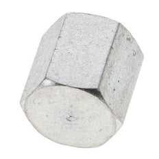 1/8'' NPT Verzinkt Stalen Plug met Buitenzeskant 345 Bar [2 Stuks]