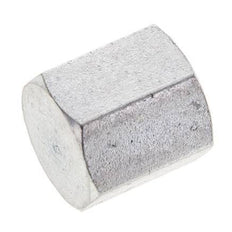 1/8'' NPT Verzinkt Stalen Plug met Buitenzeskant 345 Bar [2 Stuks]