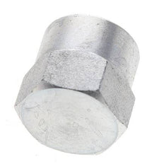 3/8'' NPT Verzinkt Stalen Plug met Buitenzeskant 210 Bar