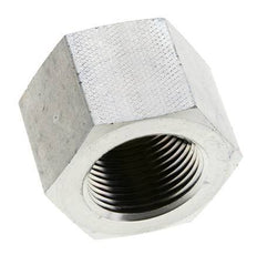 1'' NPT Verzinkt Stalen Plug met Buitenzeskant 140 Bar