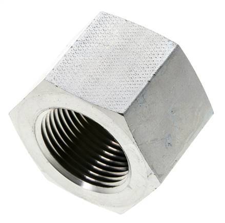 1'' NPT Verzinkt Stalen Plug met Buitenzeskant 140 Bar